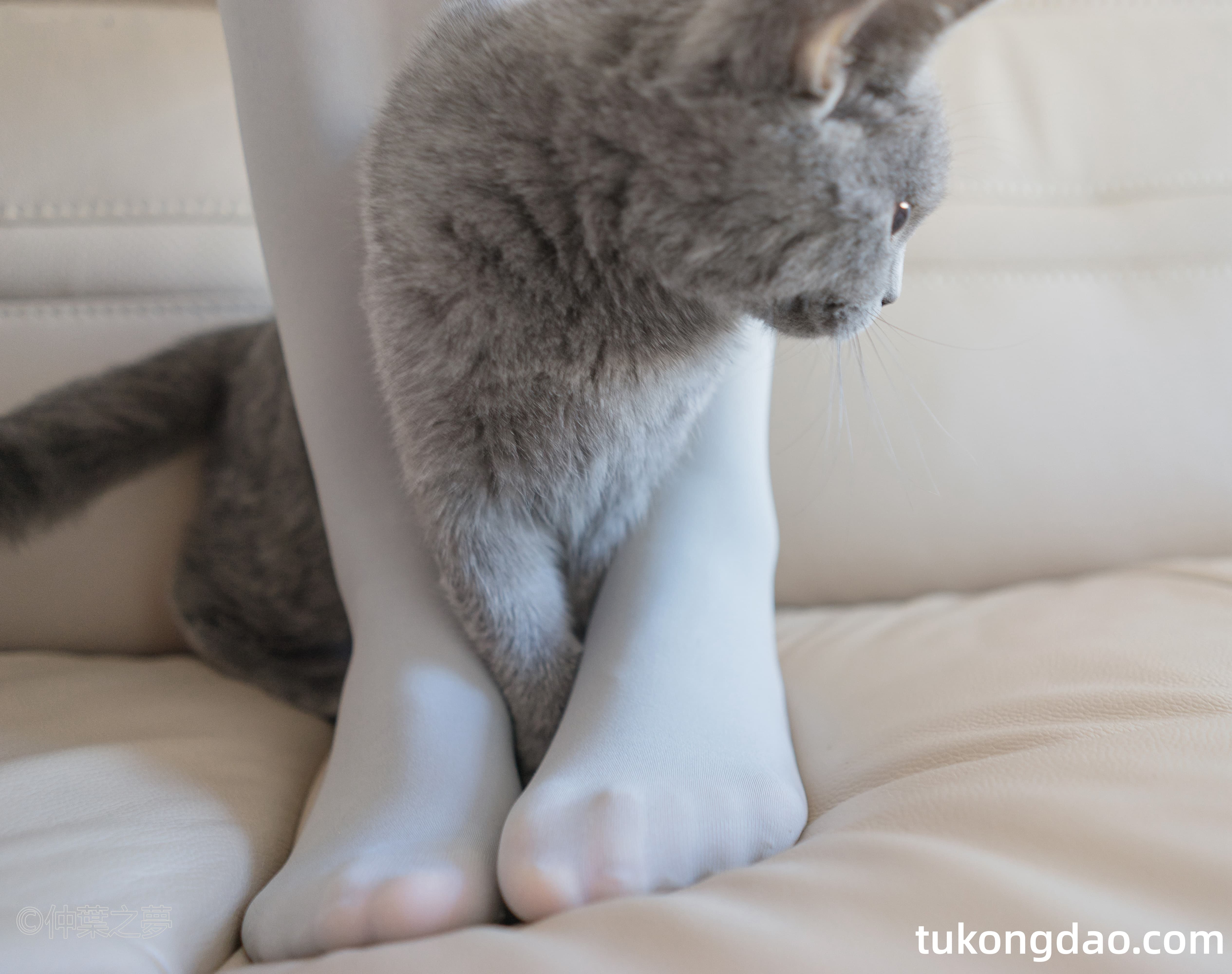 轻兰映画 SPL.014 写真集 写真系列-第20张